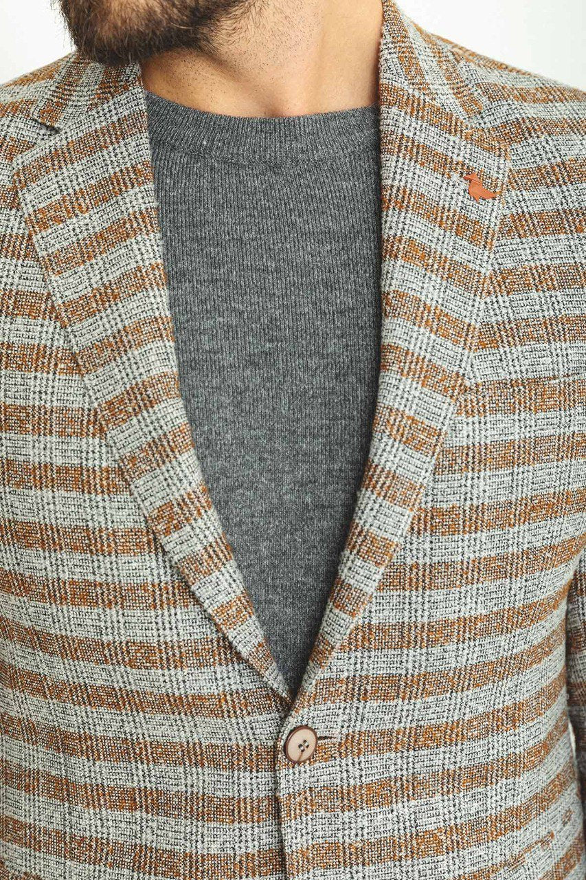 Model wearing a Gray and Camel Striped Blazer from HolloMen, showcasing a blend of classic tones with modern elegance.
